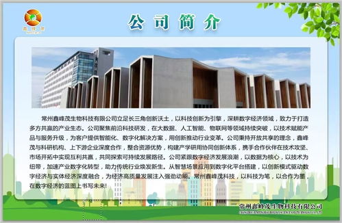 鑫峰茂 以技術(shù)服務(wù)為舟，奮力突破千層浪，勇者踏平萬(wàn)重山